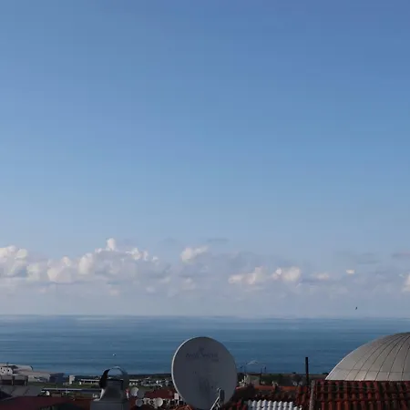 Galata *